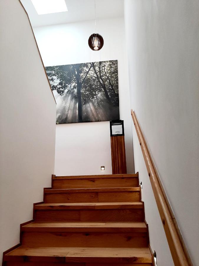 Nobless Apartments Holedna Μπρνο Εξωτερικό φωτογραφία